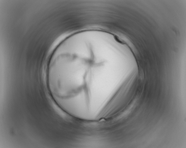 X0000113611054200910161925