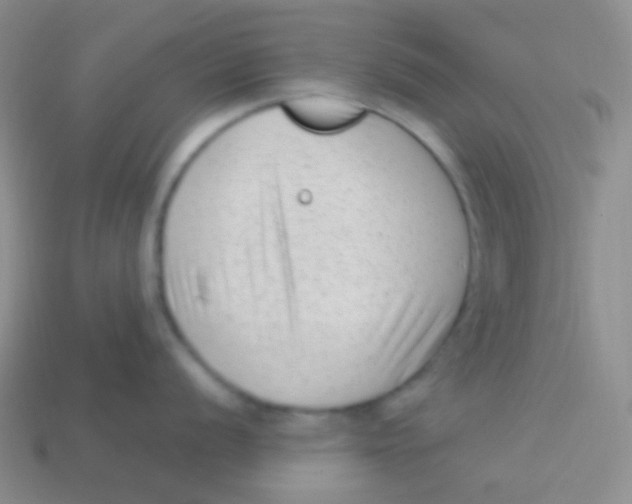 X0000113611056200910161925