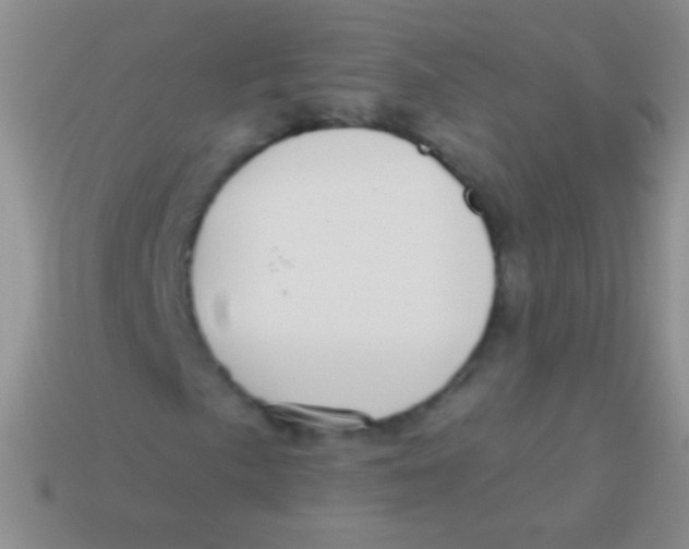 X0000113611057200910161924