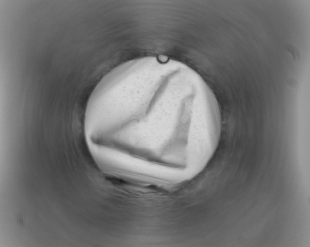 X0000113611058200910161924