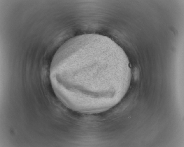 X0000113611059200910161924