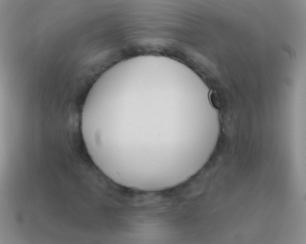 X0000113611061200910161924