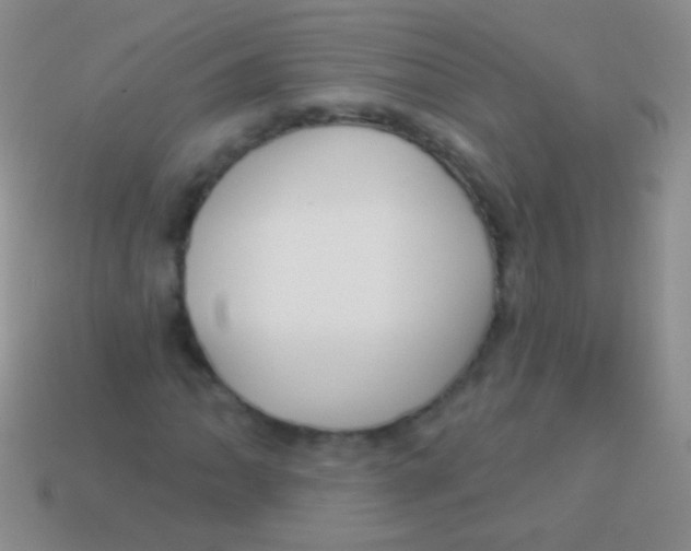 X0000113611062200910161924