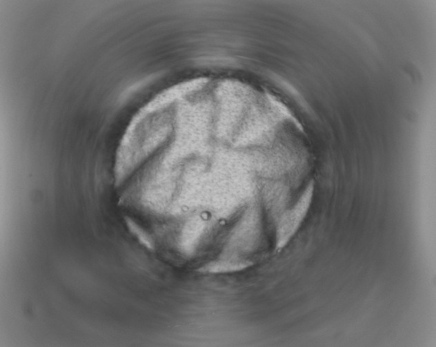 X0000113611063200910161924