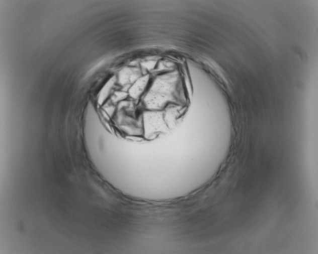 X0000113611064200910161924