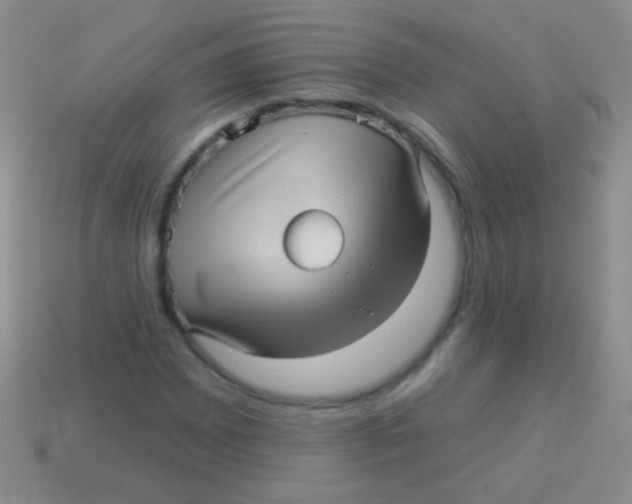 X0000113611065200910161924