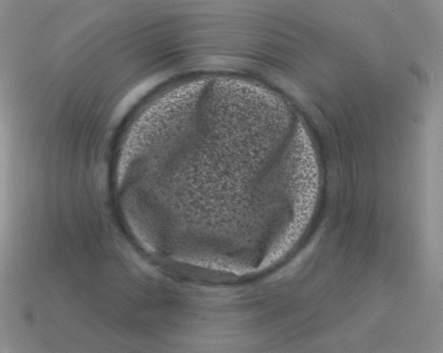 X0000113611066200910161924