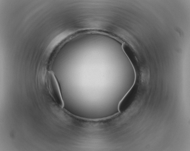 X0000113611069200910161924