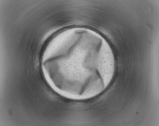 X0000113611070200910161924