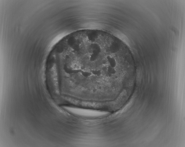 X0000113611071200910161924