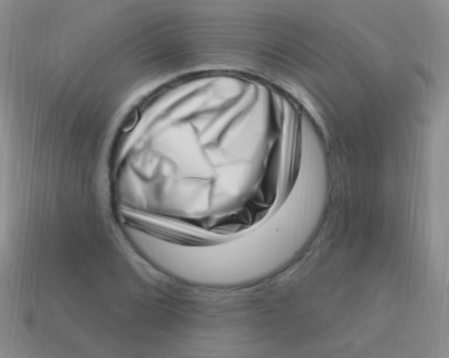 X0000113611072200910161924