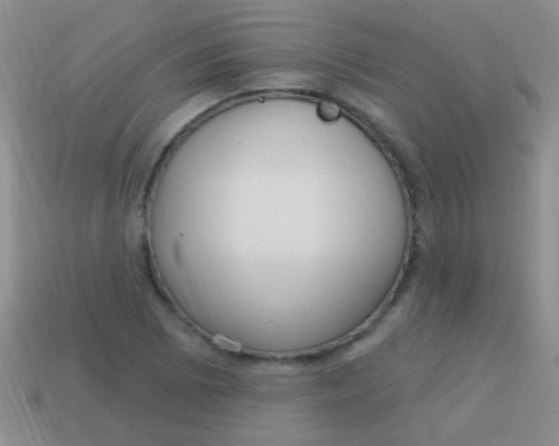 X0000113611073200910161924