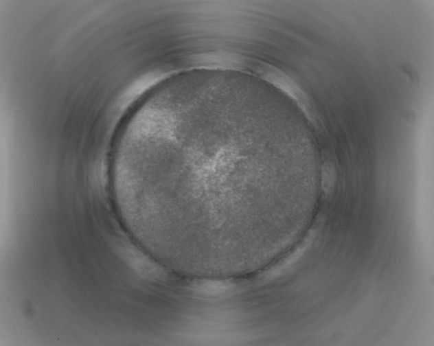 X0000113611074200910161924