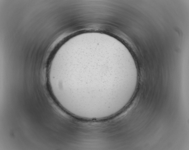 X0000113611075200910161924