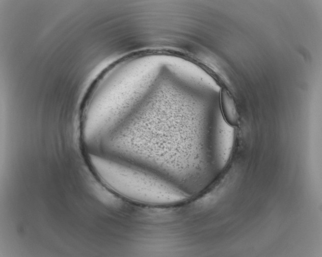 X0000113611076200910161924