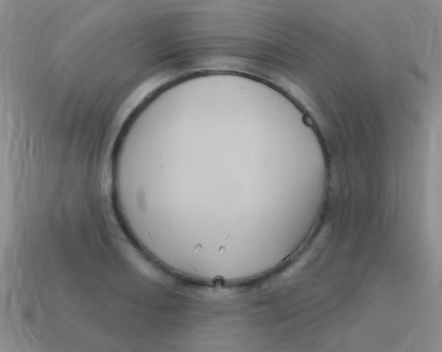 X0000113611082200910161924