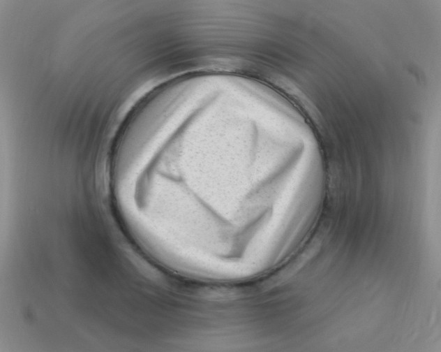 X0000113611083200910161924