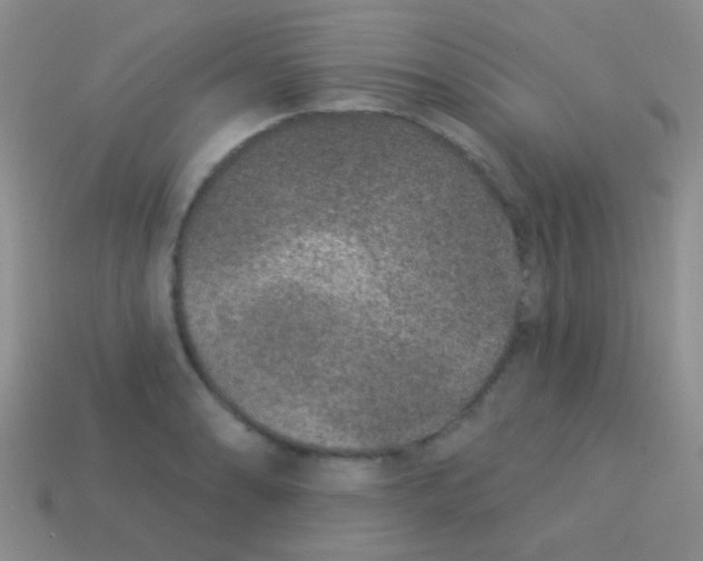 X0000113611086200910161924