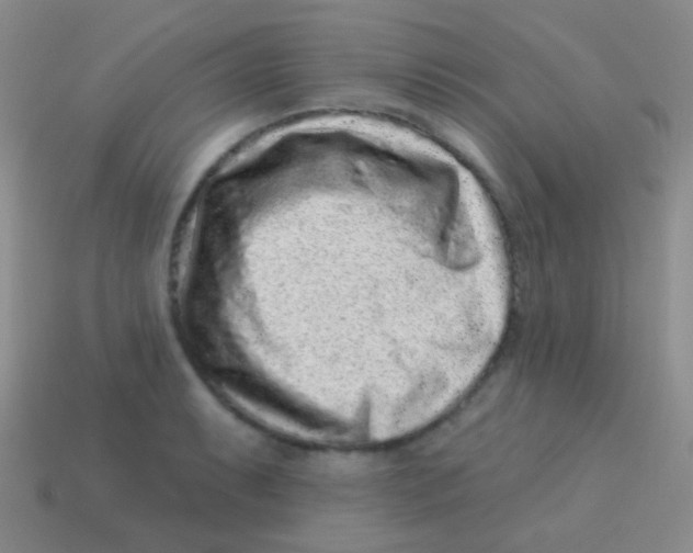 X0000113611087200910161924