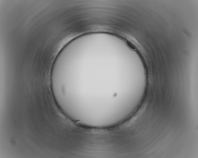 X0000113611089200910161924