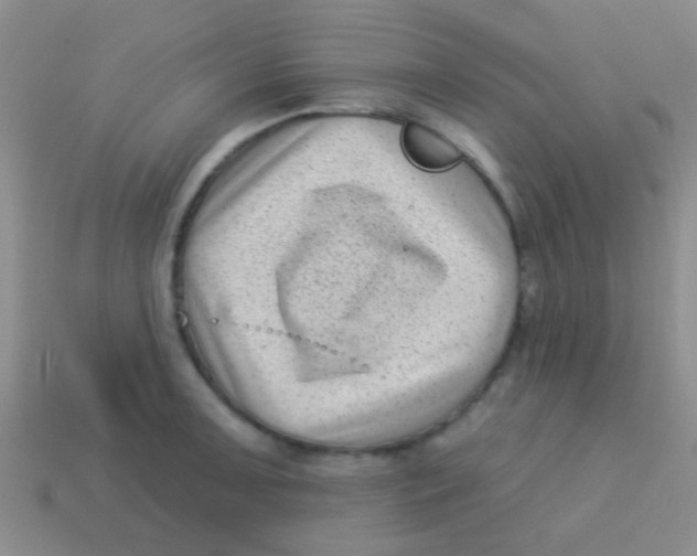 X0000113611091200910161924