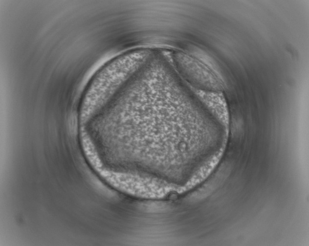 X0000113611092200910161924