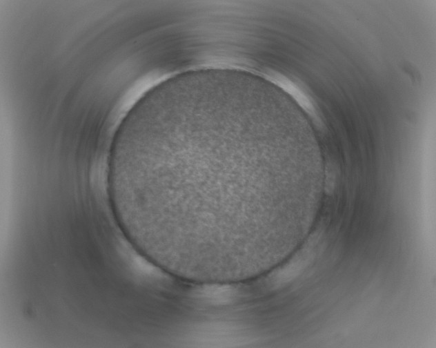 X0000113611094200910161924