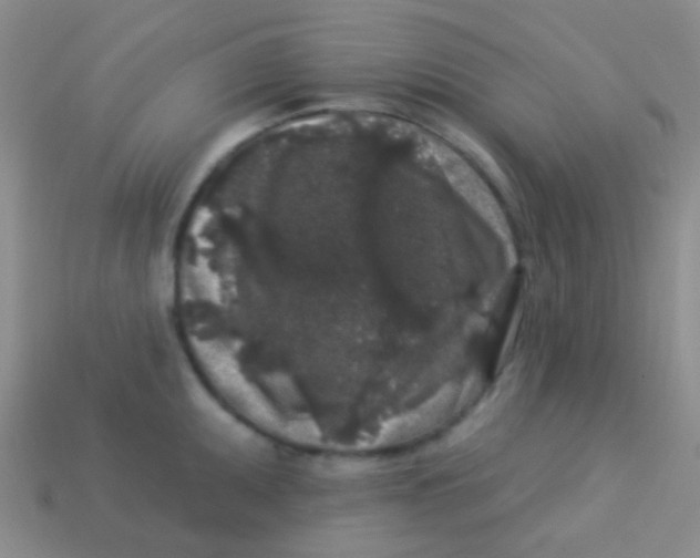 X0000113611095200910161924