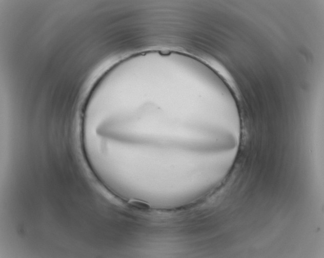 X0000113611096200910161924