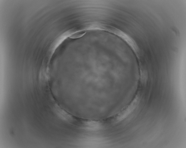 X0000113611097200910161924