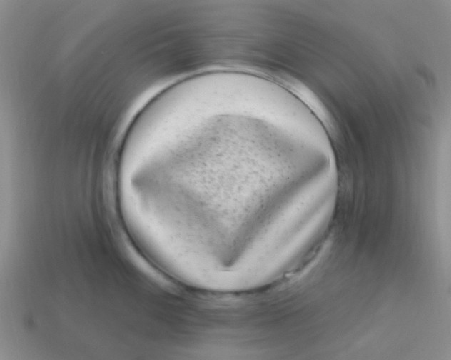 X0000113611100200910161924