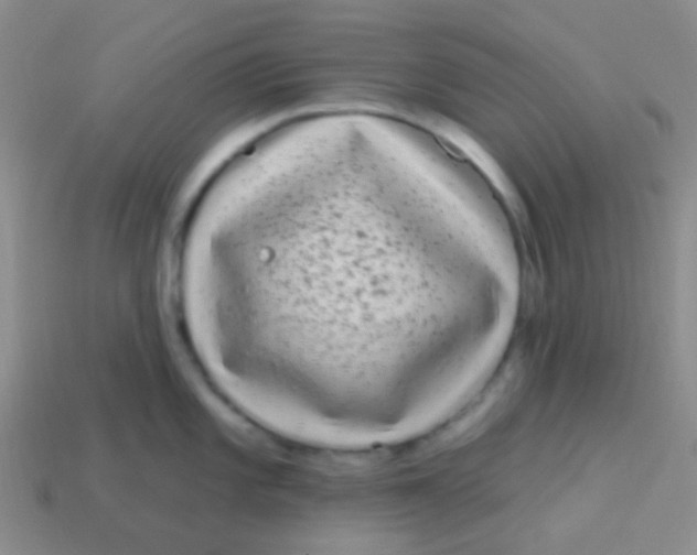 X0000113611101200910161923