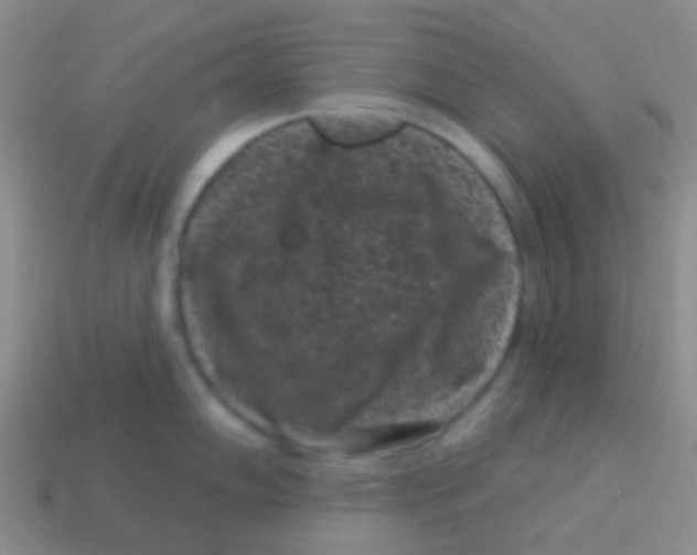 X0000113611102200910161923