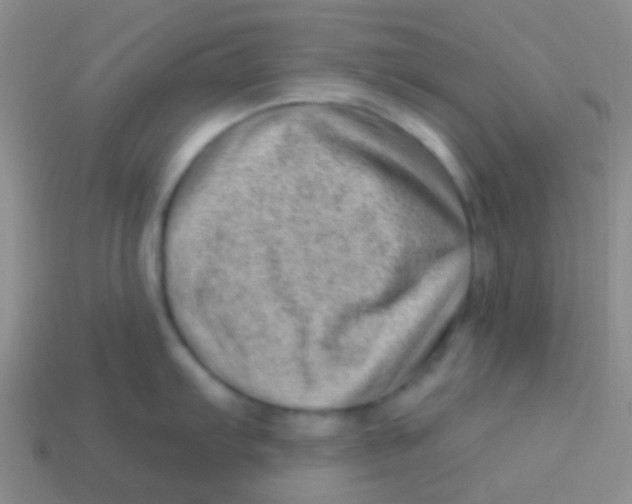 X0000113611103200910161923