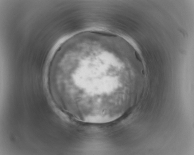 X0000113611104200910161923