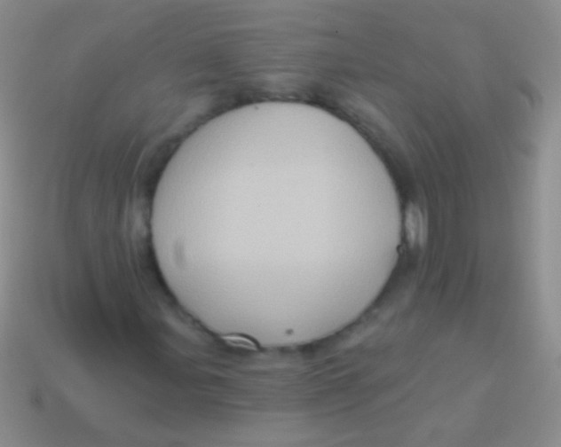 X0000113611107200910161923