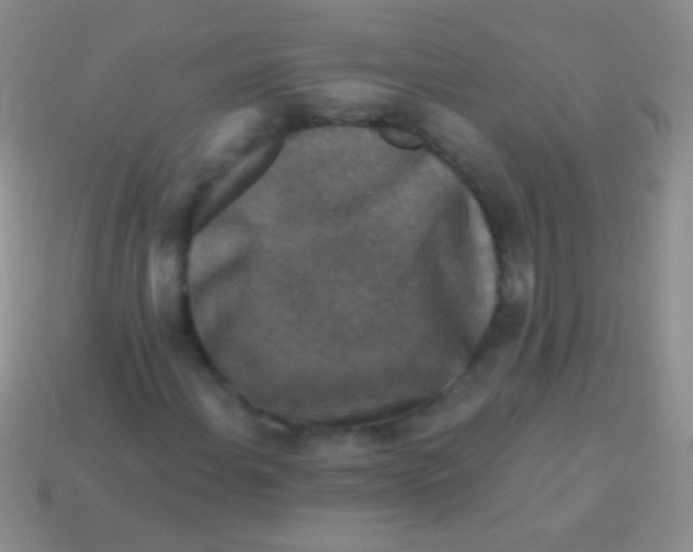 X0000113611108200910161923