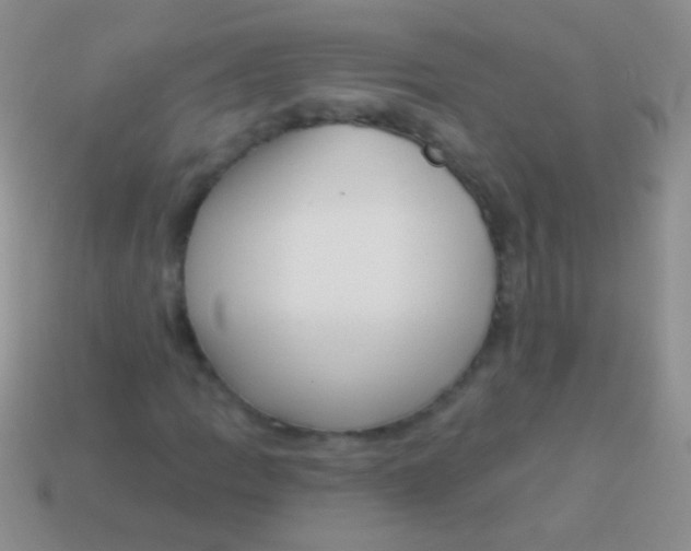 X0000113611109200910161923