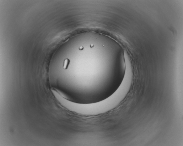 X0000113611110200910161923