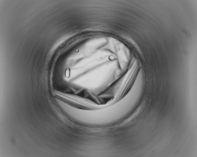 X0000113611114200910161923