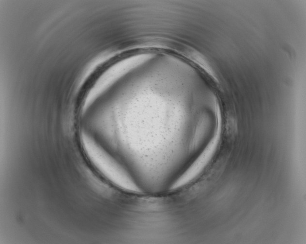 X0000113611116200910161923