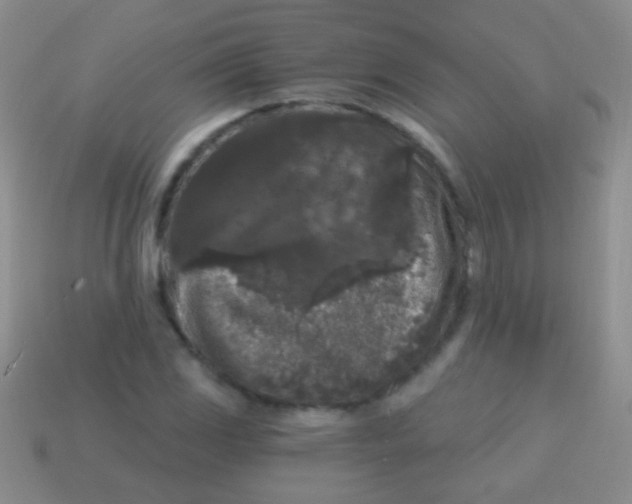 X0000113611117200910161923