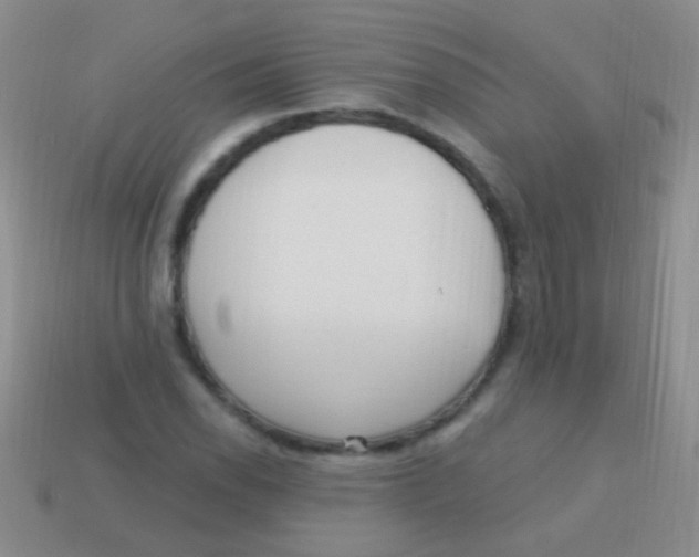 X0000113611118200910161923