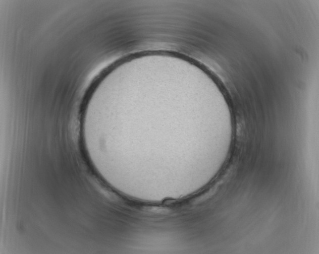 X0000113611119200910161923