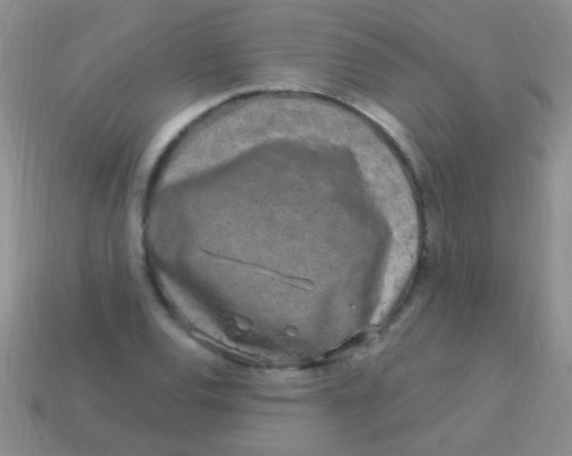 X0000113611120200910161923