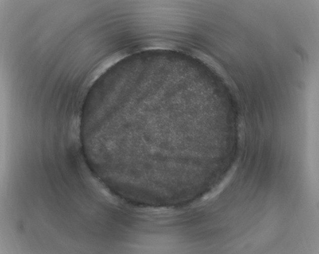 X0000113611121200910161923