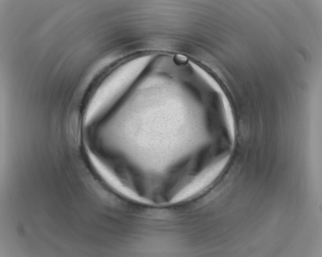 X0000113611123200910161923