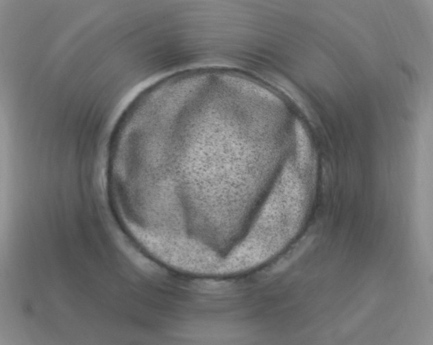 X0000113611124200910161923