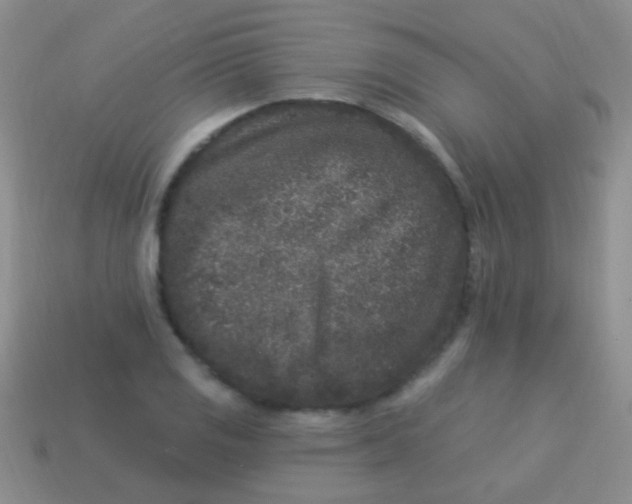 X0000113611125200910161923