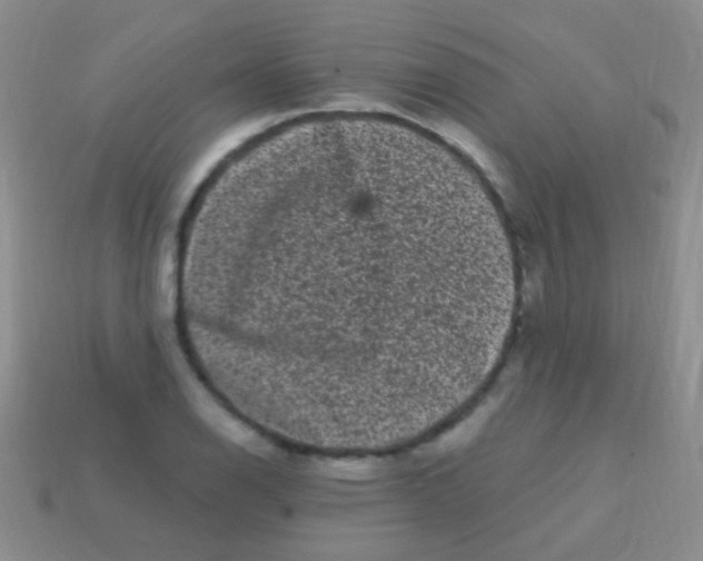 X0000113611126200910161923